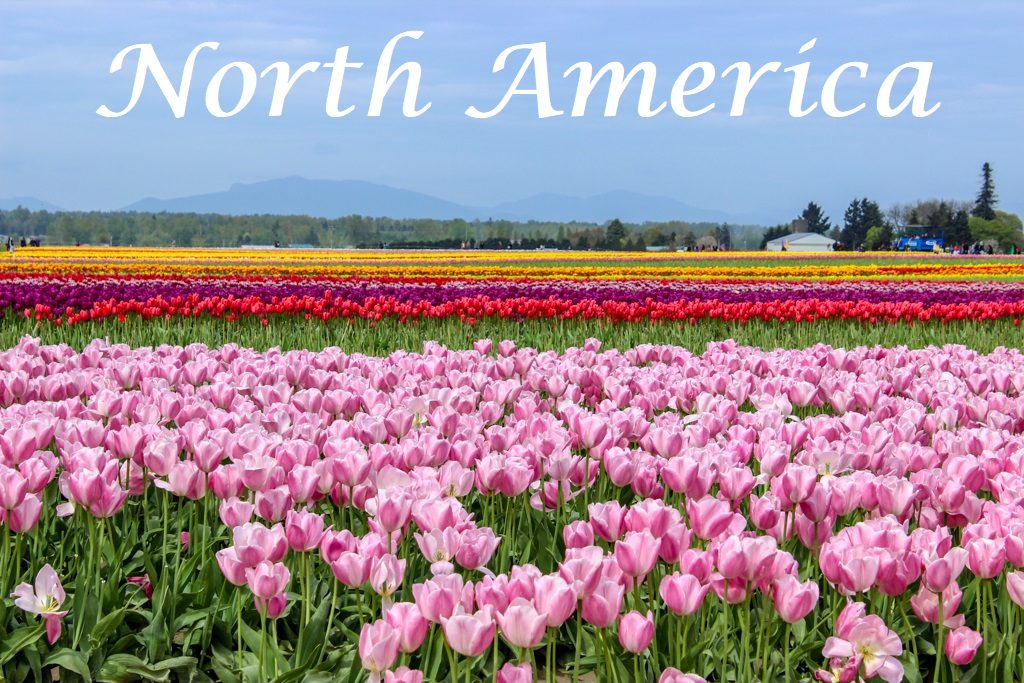 North America Travel Destinations