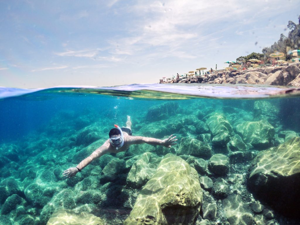 snorkeling coral reefs