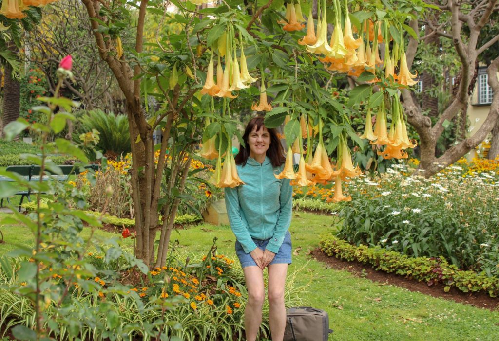 Madeira Island Portugal Gardens