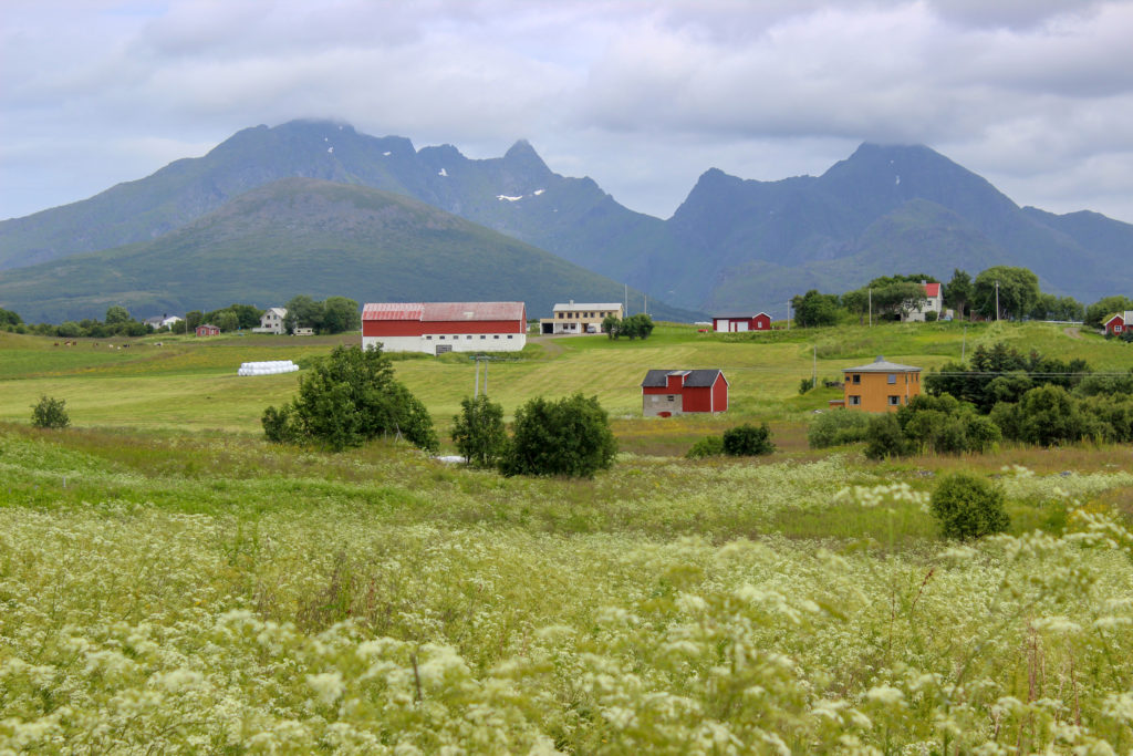 Lofoten Islands Norway Farm