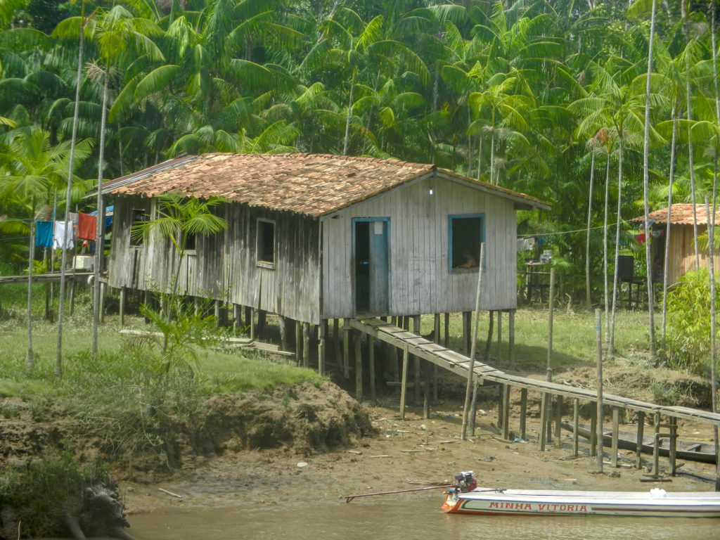 Brazil Amazon River Delta