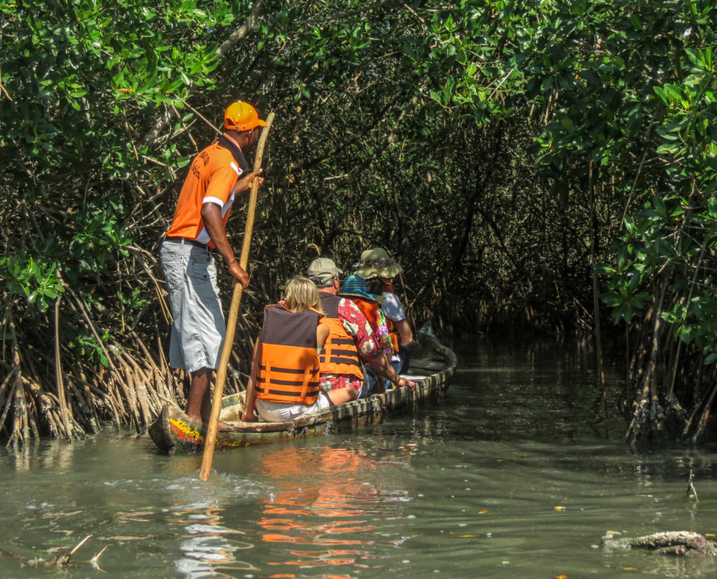 Columbia's Boquilla Mangrove Tour