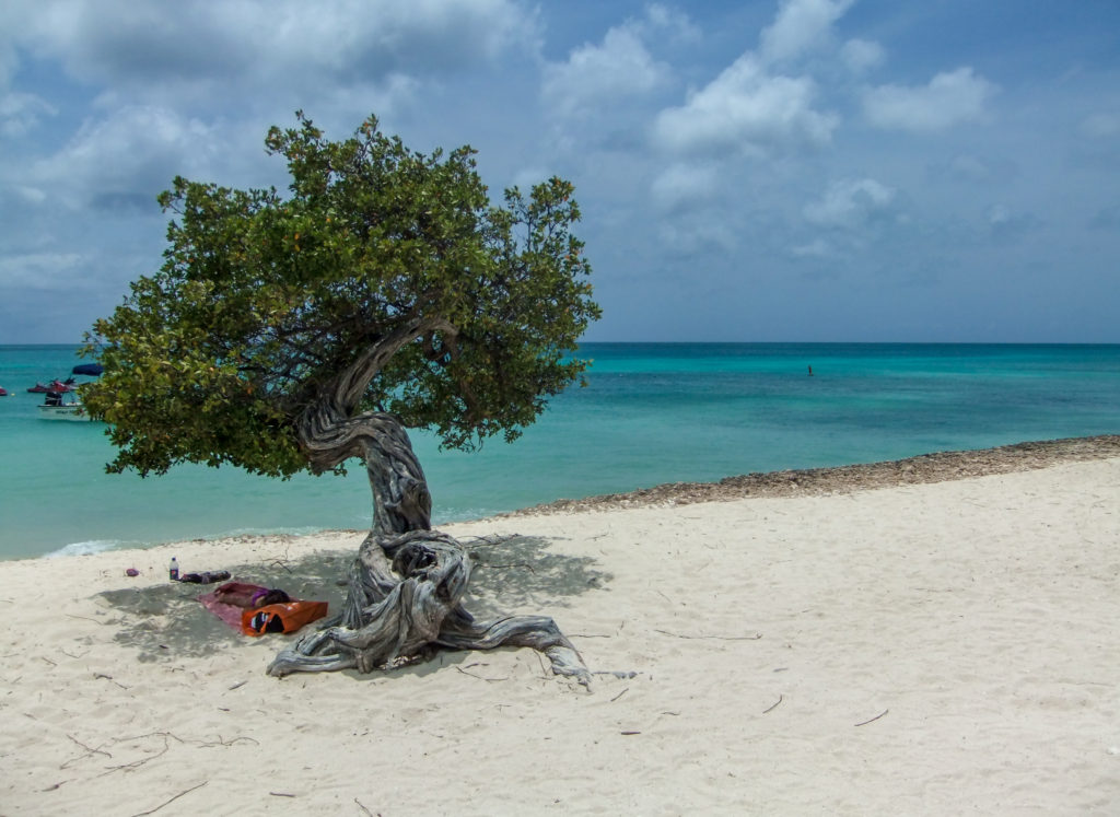 Aruba Beaches