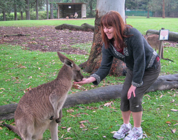 A Fun Tour at the Fantastic Bonorong Wildlife Sanctuary in Tasmania