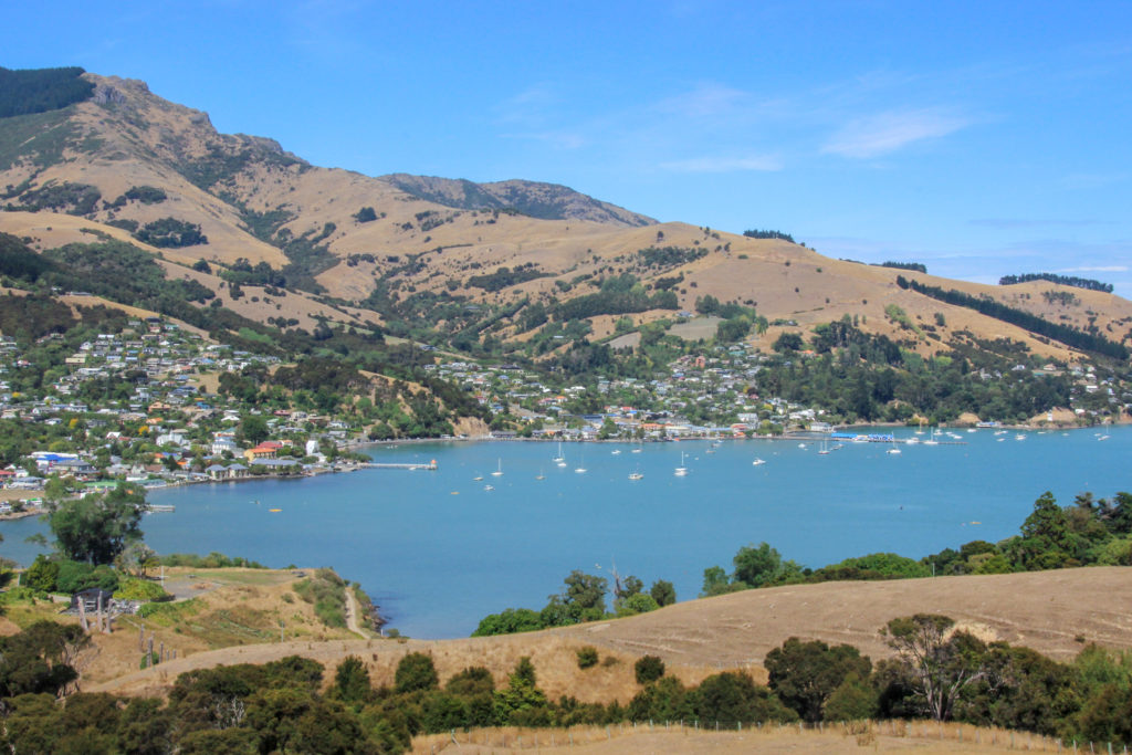 Akaroa New Zealand Harbor