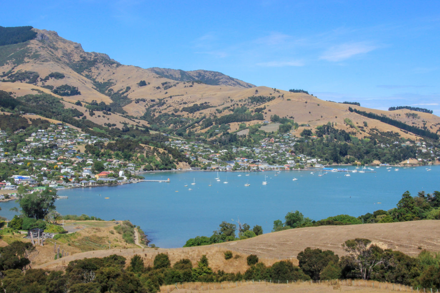 Akaroa’s Stunning Attractions on Walking and Boating Tours