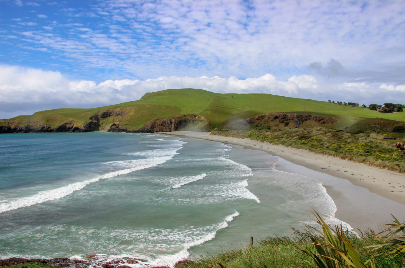 New Zealand Travel Guides True Wind Healing Travel