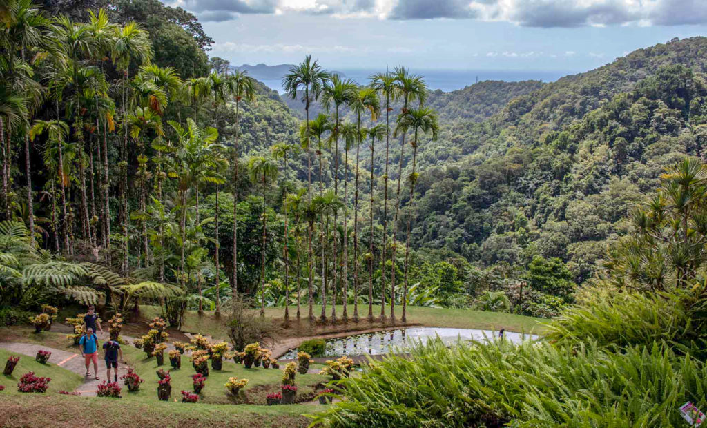 Martinique Balata Gardens View