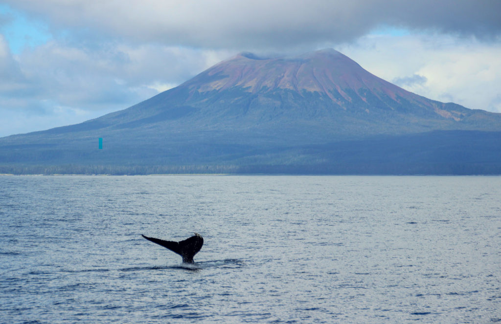 Mount Edgecumble on Sitka Bay Alaska