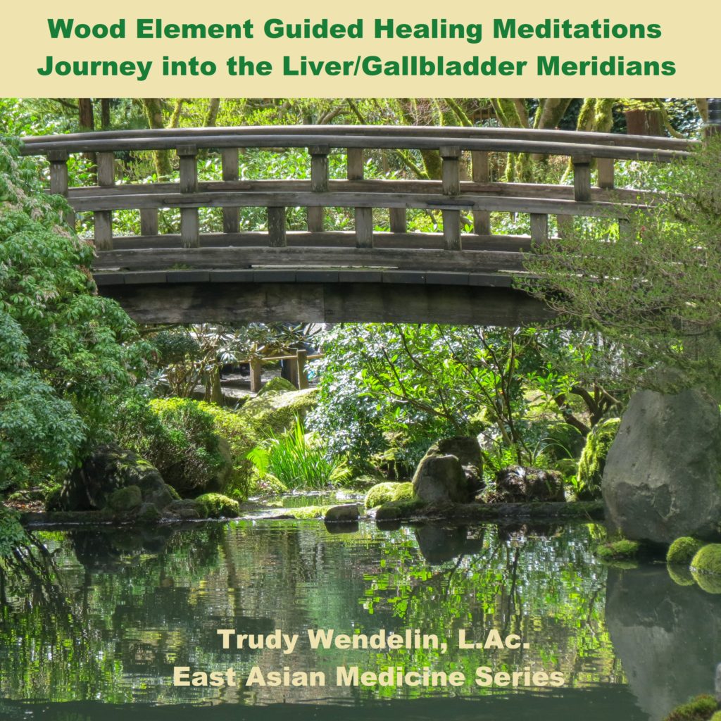 Wood Element meditation
