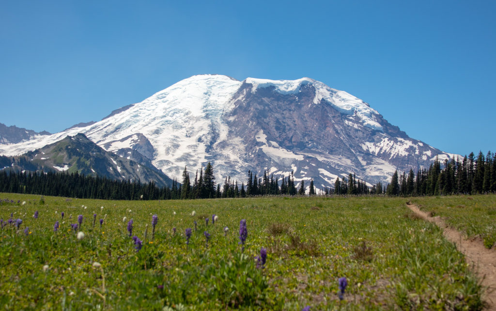 Grand Park Mt. Rainier