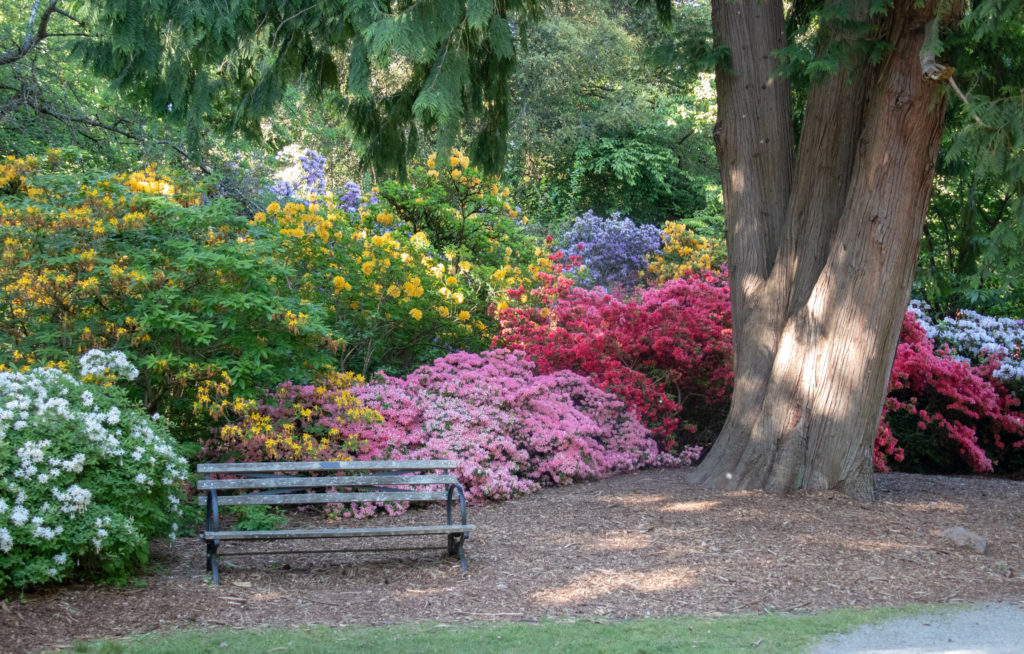 Arboretum Seattle Washington