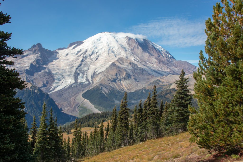 Mt. Rainier National Park