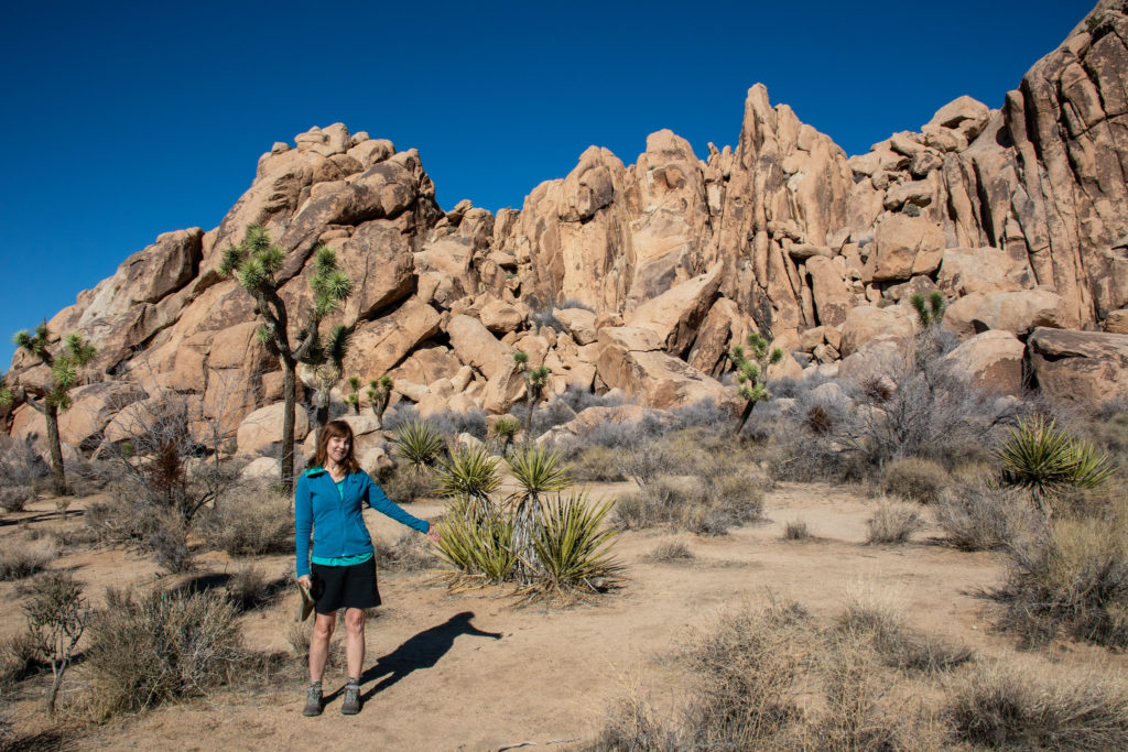 Joshua Tree National Park California