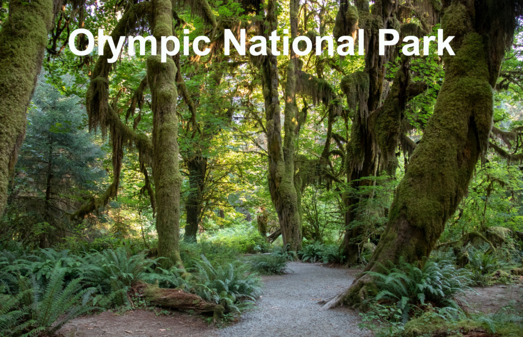 Olympic National Park