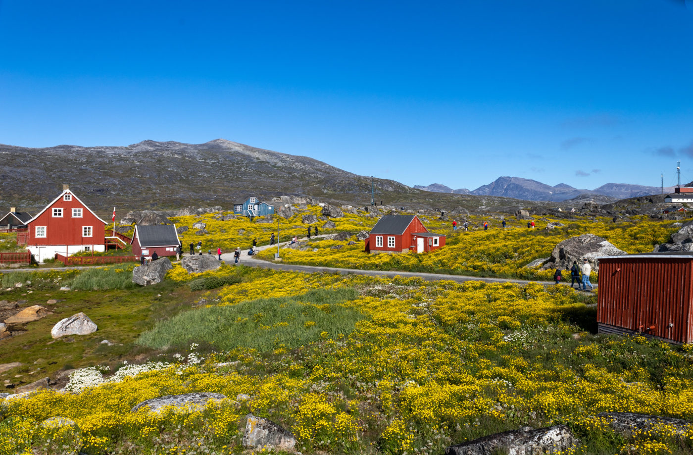 Charming Nanortalik, Greenland Summer Walking Tour – Wildflowers, Icebergs & Music