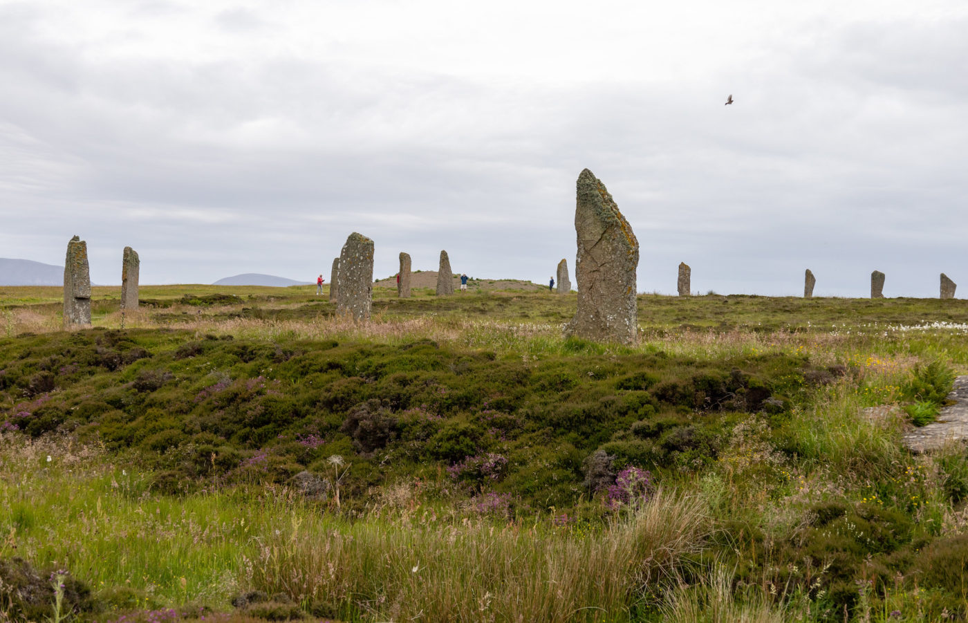 Scotland’s Amazing Orkney Tour at Skara Brae, Ring of Brodgar & Stones of Stenness