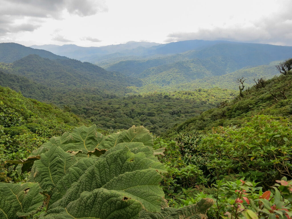 Monteverde Costa Rica