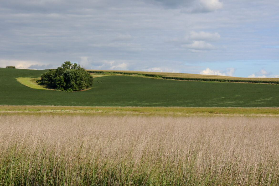 Iowa farm fields