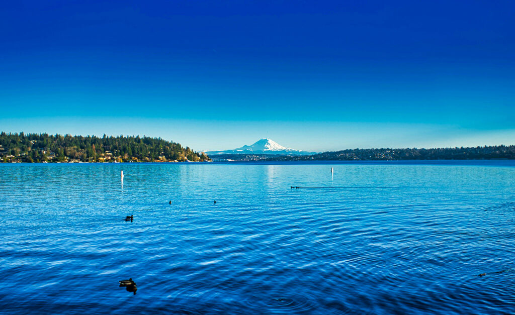 Seward Park Seattle
