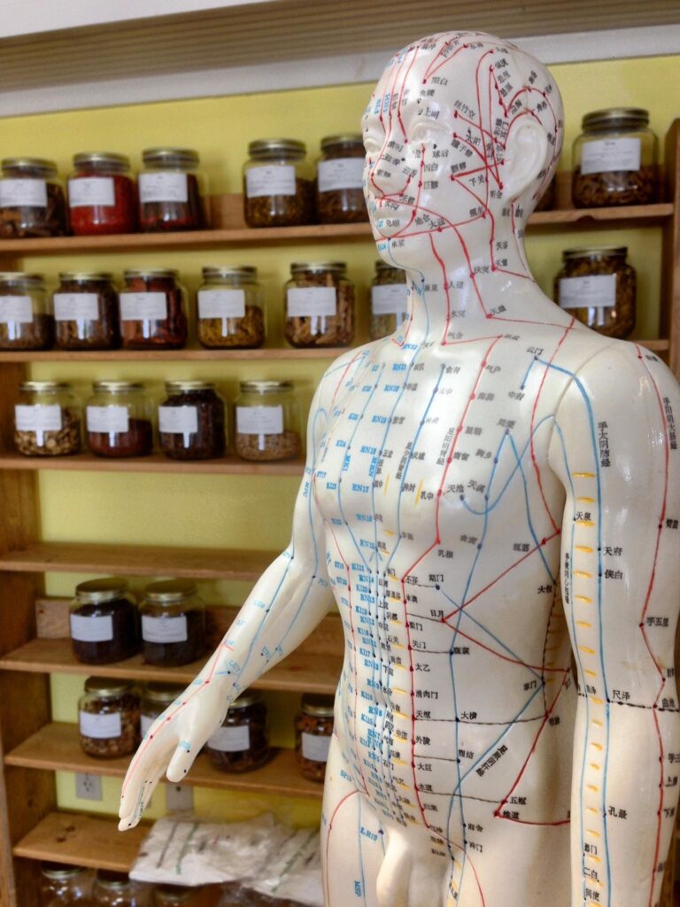 East Asian Medicine Acupuncture and Herbs